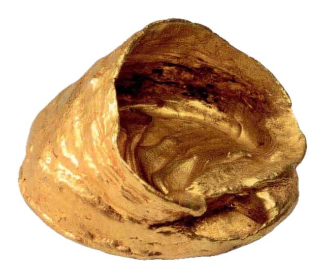 Horse-hoof gold